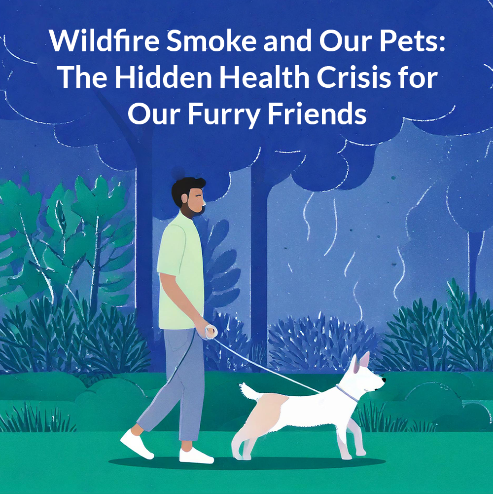 Wildfire Smoke and Our Pets: The Hidden Health Crisis for Our Furry Friends